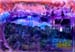 post_354